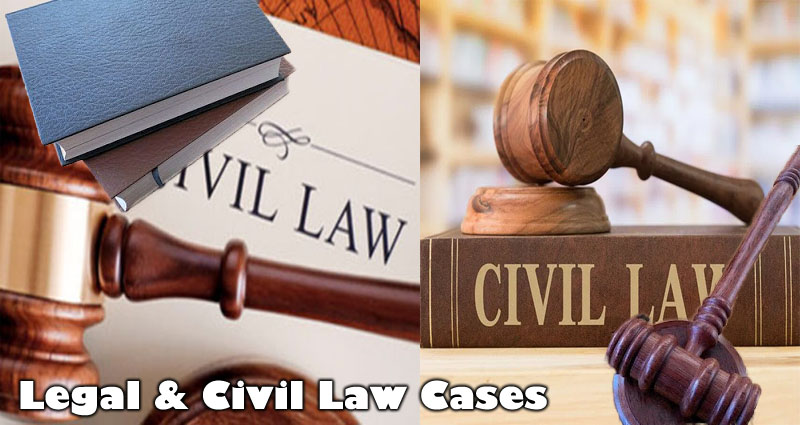 Generating The Distinction Between Legal Civil Law Cases GWise Law